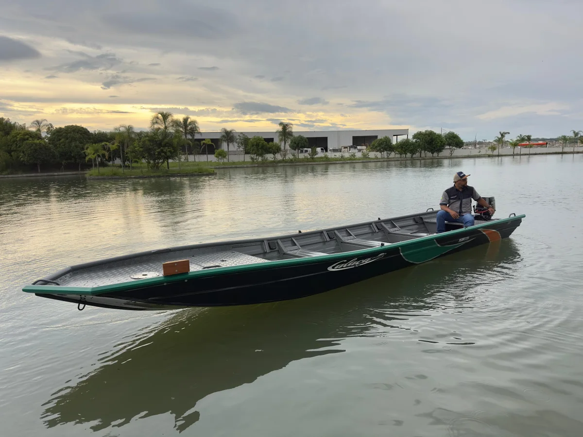 FLASHBASS PLATAFORMA ESTENDIDA — foto 1